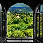 Amalia Srls Gizzeria