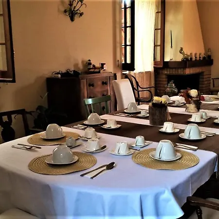 Amalia Srls Gizzeria