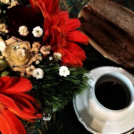 فندق مبيت وإفطار Amalia Srls 3*