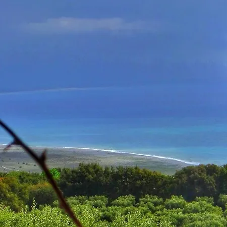 Amalia Srls 3* Gizzeria