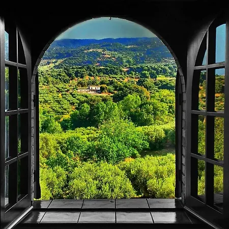 Amalia Srls Gizzeria