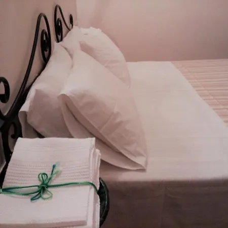 Amalia Srls Gizzeria