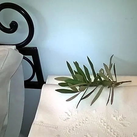 Amalia Srls فندق مبيت وإفطار غيزيريا