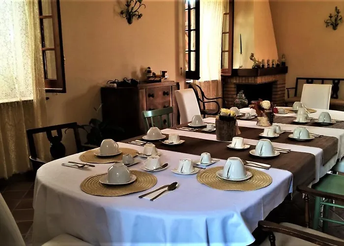 Amalia Srls ג'יצריה