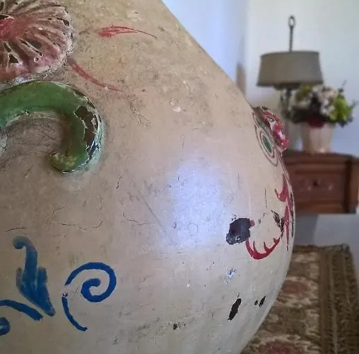 Amalia Srls ג'יצריה