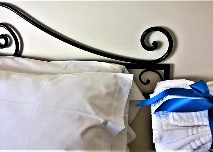 Amalia Srls ג'יצריה