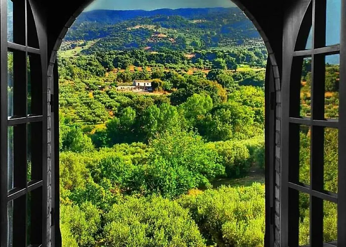 Amalia Srls ג'יצריה