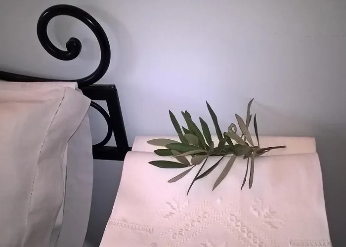 לינה וארוחת בוקר Amalia Srls